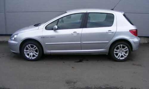 Peugeot 307 Quicksilver #3