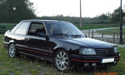 Peugeot 309 #17