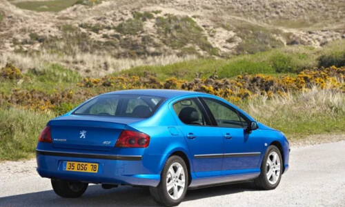 Peugeot 407 HDi 170 #7