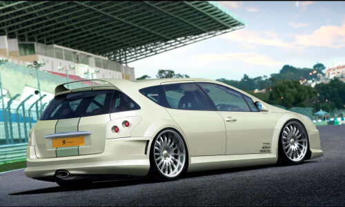 Peugeot 407 SW #10