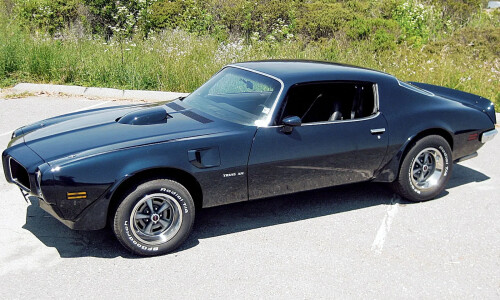 Pontiac Firebird #13