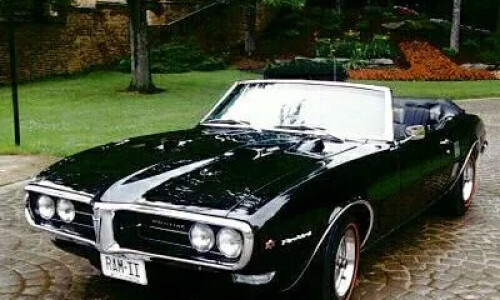 Pontiac Firebird #14