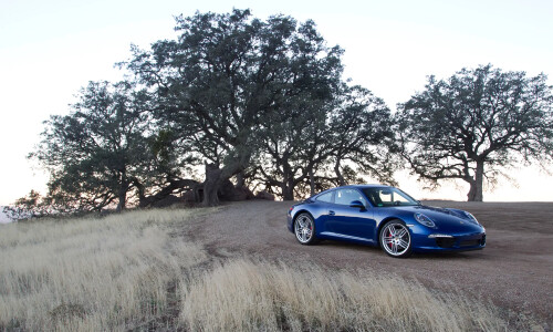 Porsche 911 Carrera S #10