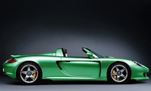 Porsche Carrera #20