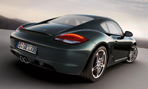 Porsche Cayman #13