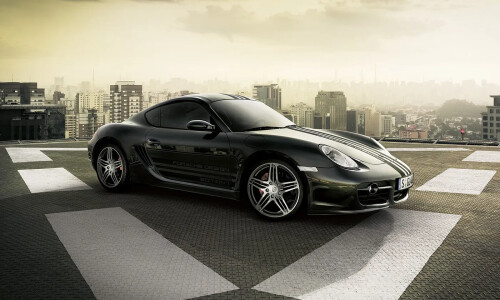 Porsche Cayman S #16