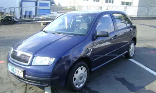 Skoda Fabia Exact #13