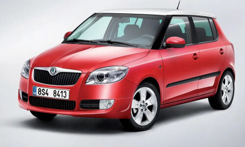 Skoda Fabia Excellent #2