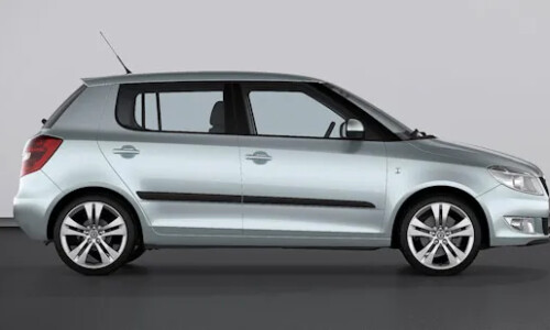 Skoda Fabia Excellent #11