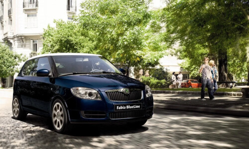 Skoda Fabia Extra #3