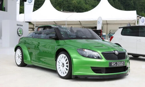 Skoda Fabia Extreme #11