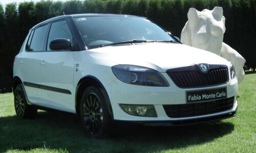 Skoda Fabia Monte Carlo #1