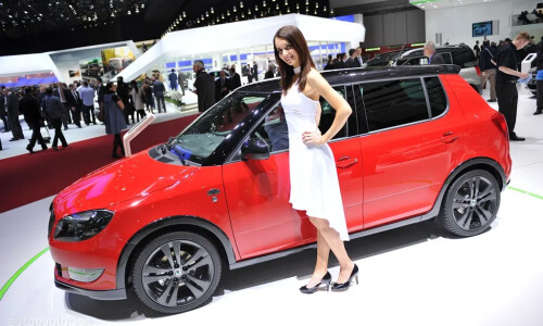 Skoda Fabia Monte Carlo #2