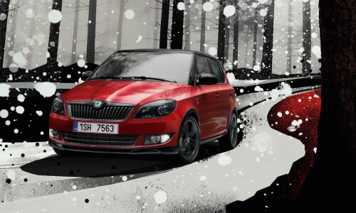 Skoda Fabia Monte Carlo #14