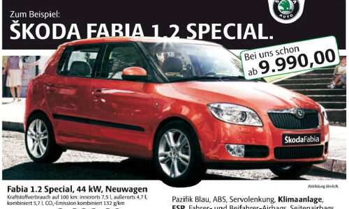 Skoda Fabia Special #4