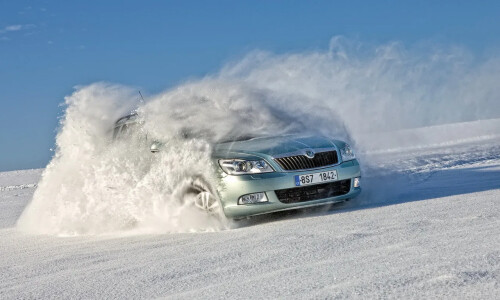 Skoda Octavia Combi 4x4 #10