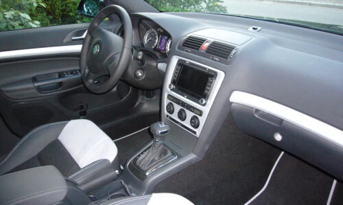 Skoda Octavia RS TDI #12