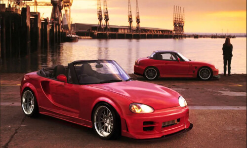 Suzuki Cappuccino #15
