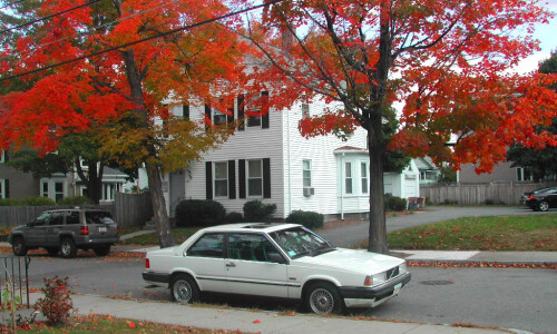 Volvo 780 #11