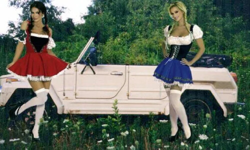 VW 181 #19