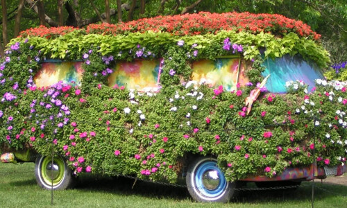 VW Bus #9