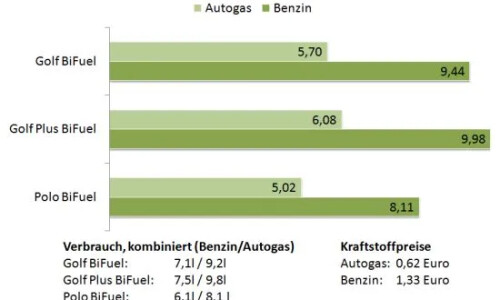 VW Polo BiFuel #8